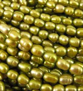 Perle coltivate riso verde foglia