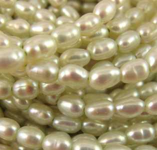 Perle coltivate riso verde chiarissimo